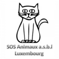 SOS Animaux