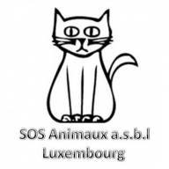 SOS Animaux